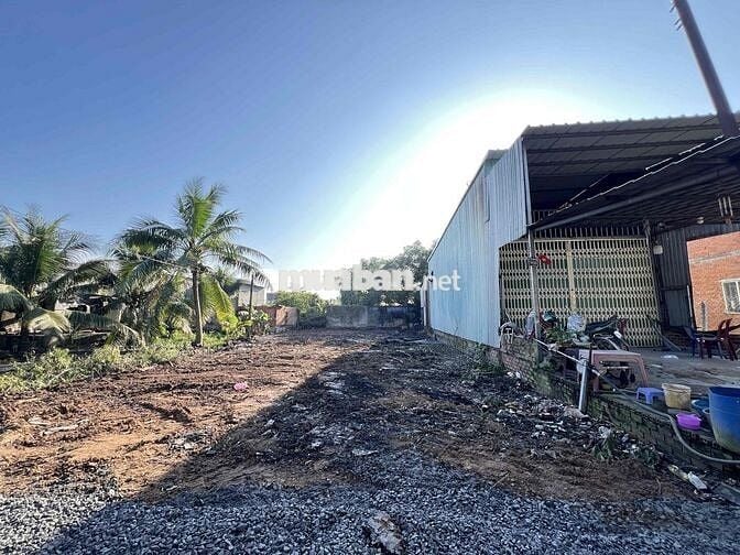 Đất Sát Tân Đức 11x33m giá 1ty650