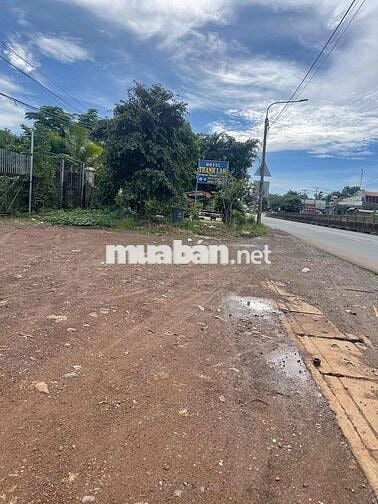 Bán đất kế bên nhà sổ hồng riêng thổ cư cách quốc lộ 1 a 500m giá rẻ