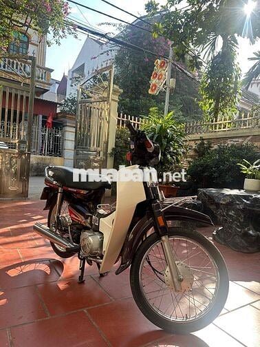 Dream việt máy chất