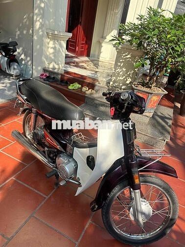 Dream việt máy chất