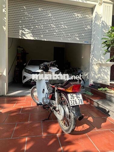 Dream việt máy chất