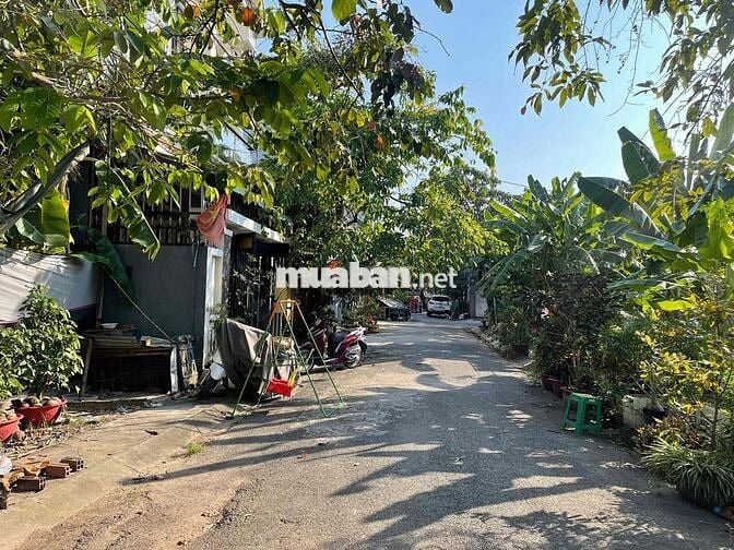 Đất 10x16m, Sổ 160m2, đg nhựa 7m kê bên chợ Đầu Mối Bà Điểm