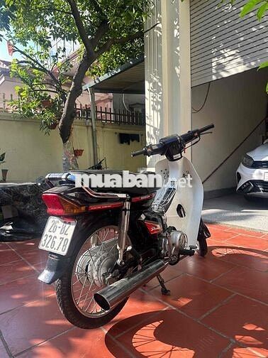 Dream việt máy chất