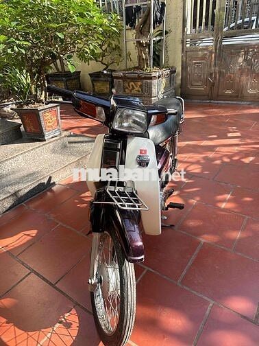 Dream việt máy chất