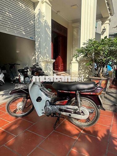 Dream việt máy chất