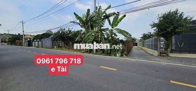 BUNG 4 LÔ MẶT TIỀN KINH DOANH ĐƯỜNG HUỲNH VĂN NGHỆ BỬU LONG