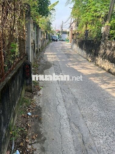 Tôi bán nhà riêng sổ hồng đường Nguyễn Thiện Thuật, An Hòa, Biên Hòa