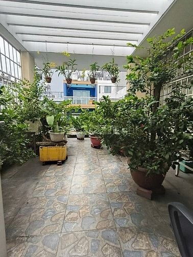 MTNB Đường Lê Văn Quới Bình Tân, 7,8 tỷ, 67m2