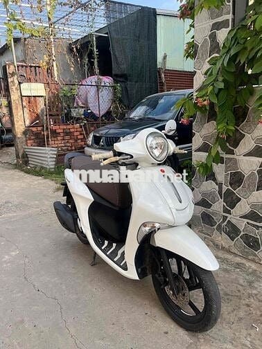 Yamaha Janus 2017 màu Trắng