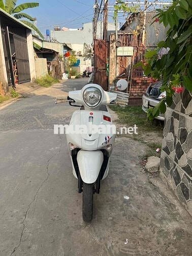 Yamaha Janus 2017 màu Trắng