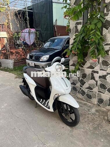 Yamaha Janus 2017 màu Trắng