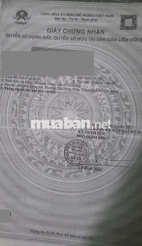 Đất Trục chính Phú Mỹ Hiệp phường Tân Đông Hiệp Tp Dĩ An