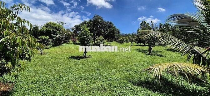 nhà biệt thự vườn 6.000m2 rất đẹp ven đà lạt