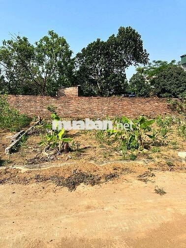 🔥 CHỈ HƠN 3 TỶ - MUA NGAY LÔ ĐẤT ĐẸP ĐỒI SEN - BÌNH YÊN, HÒA LẠC