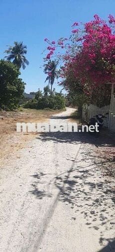 Cần bán gấp ( CÓ THƯƠNG LƯỢNG ) lh chủ đất ***