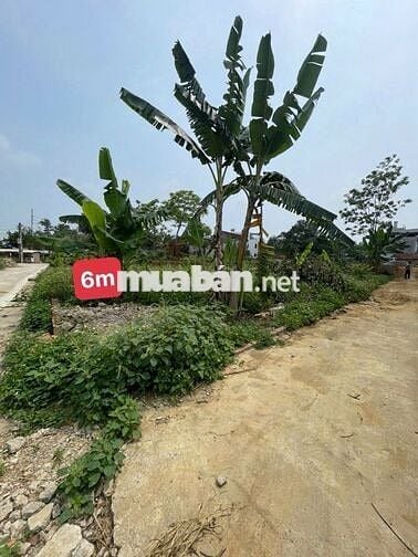 🔥 TÂN XÃ – HÒA LẠC / LÔ GÓC SÁT CNC – GIÁ ĐẸP - DÂN Ở ĐÔNG