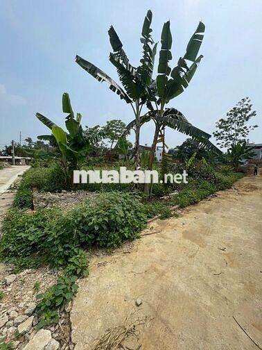 🔥 TÂN XÃ – HÒA LẠC / LÔ GÓC SÁT CNC – GIÁ ĐẸP - DÂN Ở ĐÔNG