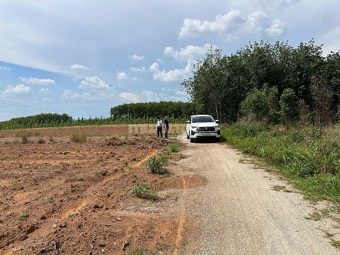 CÔNG TY ĐẤU GIÁ HỢP DANH MINH PHÁP THÔNG BÁO ĐẤU GIÁ TÀI SẢN