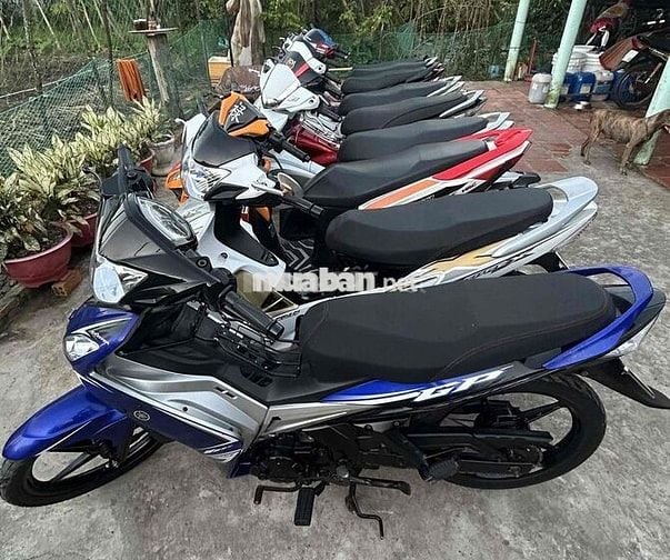 Airblade việt, Thái. Future X. Wave Alpha. Vario,.