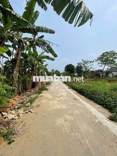 🔥 TÂN XÃ – HÒA LẠC / LÔ GÓC SÁT CNC – GIÁ ĐẸP - DÂN Ở ĐÔNG