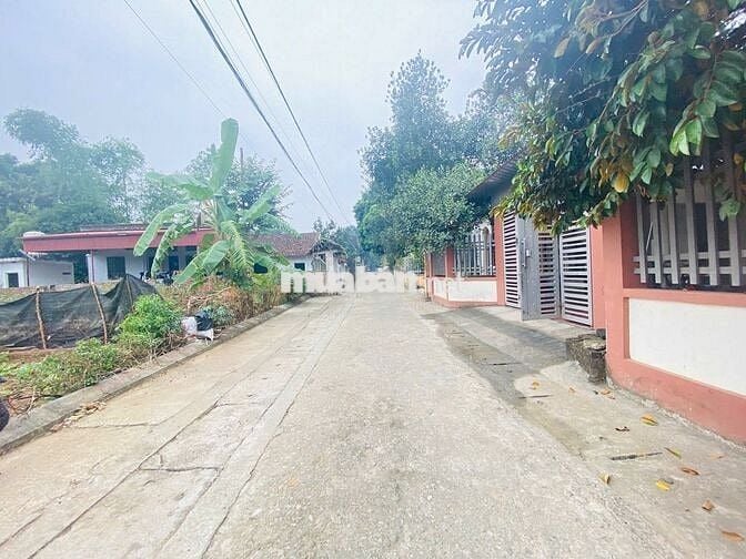 TÔI CẦN BÁN LÔ GÓC 61M FULL  ĐƯỜNG THÔNG TRỤC CHÍNH KINH DOANH ĐƯỢC