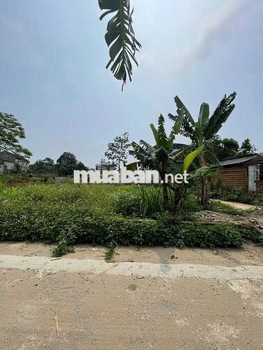 🔥 TÂN XÃ – HÒA LẠC / LÔ GÓC SÁT CNC – GIÁ ĐẸP - DÂN Ở ĐÔNG