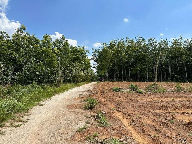 CÔNG TY ĐẤU GIÁ HỢP DANH MINH PHÁP THÔNG BÁO ĐẤU GIÁ TÀI SẢN