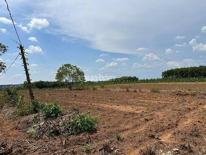 CÔNG TY ĐẤU GIÁ HỢP DANH MINH PHÁP THÔNG BÁO ĐẤU GIÁ TÀI SẢN