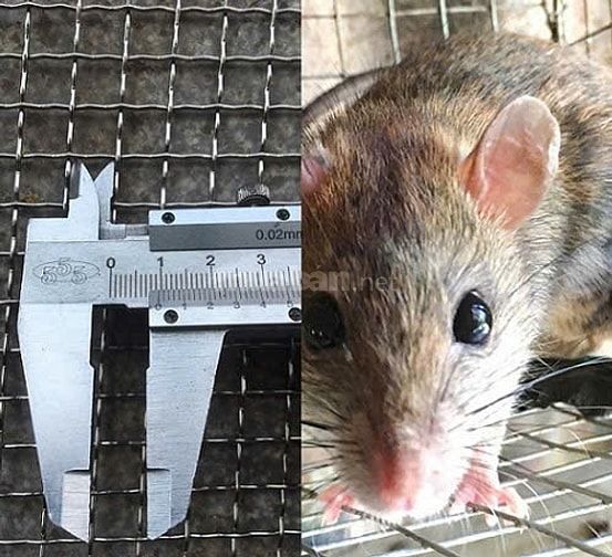 Lưới inox cuộn giá tốt – Nhận cắt theo yêu cầu