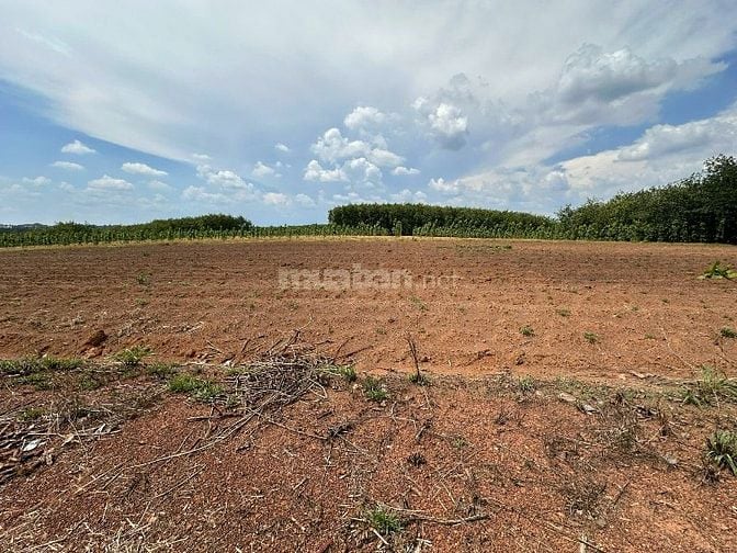 CÔNG TY ĐẤU GIÁ HỢP DANH MINH PHÁP THÔNG BÁO ĐẤU GIÁ TÀI SẢN