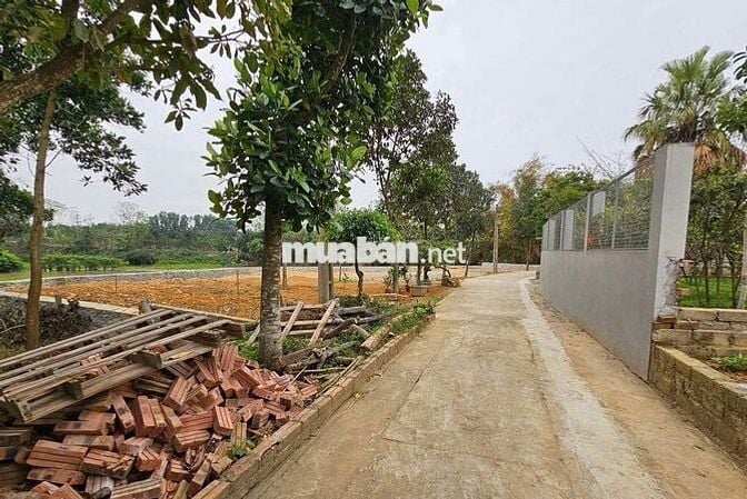 100m2 full thổ cư tại Tân Xã - Đầu tư cực tốt