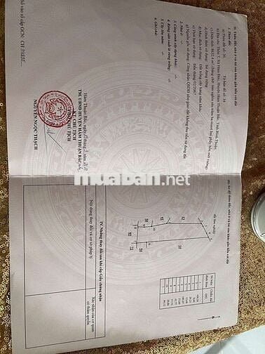 Cần bán gấp ( CÓ THƯƠNG LƯỢNG ) lh chủ đất ***