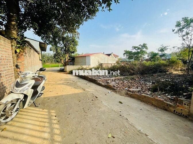 MÌNH CẦN BÁN 70M FULL THỔ CƯ Ở CỔ ĐÔNG SƠN TÂY GẦN TRỤC CHÍNH THÔN