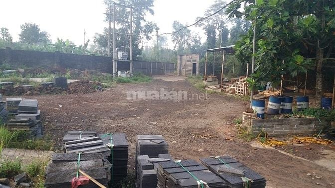 CẦN BÁN ĐẤT TẠI XÃ SÔNG THAO – TRẢNG BOM – ĐỒNG NAI