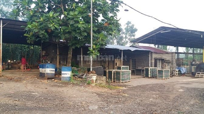 CẦN BÁN ĐẤT TẠI XÃ SÔNG THAO – TRẢNG BOM – ĐỒNG NAI