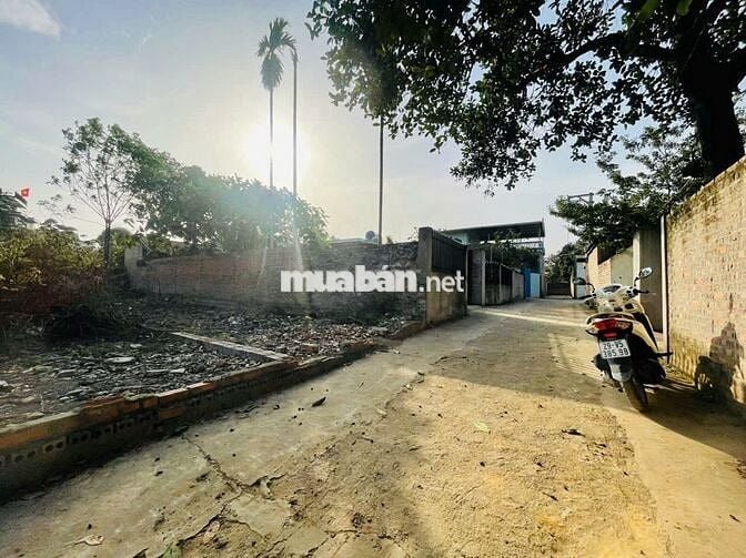 MÌNH CẦN BÁN 70M FULL THỔ CƯ Ở CỔ ĐÔNG SƠN TÂY GẦN TRỤC CHÍNH THÔN