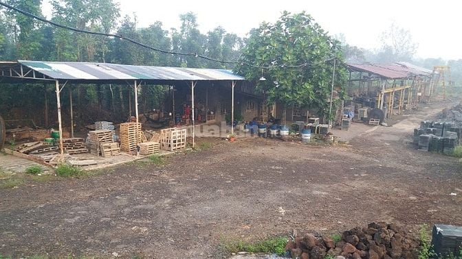 CẦN BÁN ĐẤT TẠI XÃ SÔNG THAO – TRẢNG BOM – ĐỒNG NAI