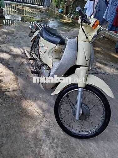 Cup năm nữ cấp 3, mới, Đề đèn còi nhan xịn sò.