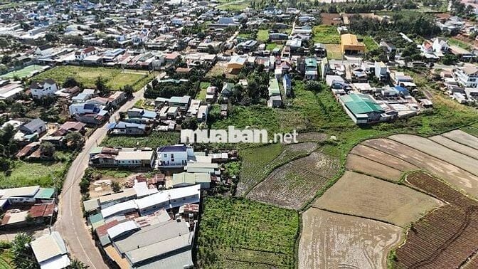 🌟 BÁN LÔ ĐẤT ĐỨC TRỌNG – CÁCH QL20 CHỈ VÀI BƯỚC 🌟