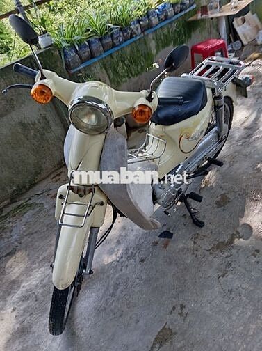 Cup năm nữ cấp 3, mới, Đề đèn còi nhan xịn sò.