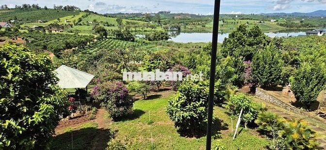 nhà biệt thự vườn 6.000m2 rất đẹp ven đà lạt