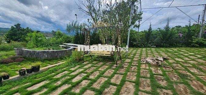 nhà biệt thự vườn 6.000m2 rất đẹp ven đà lạt