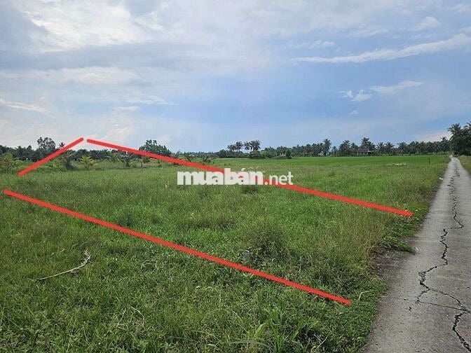 Cắt bán đất chính chủ trả nợ.Tiền Giang ,Gò Công Tây