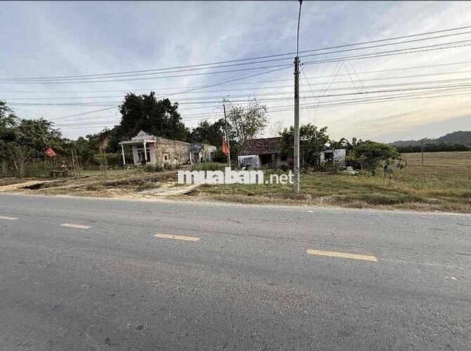 BÁN ĐẤT LÂM ĐỒNG MẶT TIỀN DT721 NỞ HẬU. NGÂN HÀNG CHO VAY 75% GIÁ