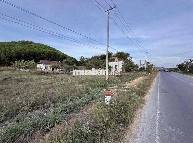 BÁN ĐẤT LÂM ĐỒNG MẶT TIỀN DT721 NỞ HẬU. NGÂN HÀNG CHO VAY 75% GIÁ