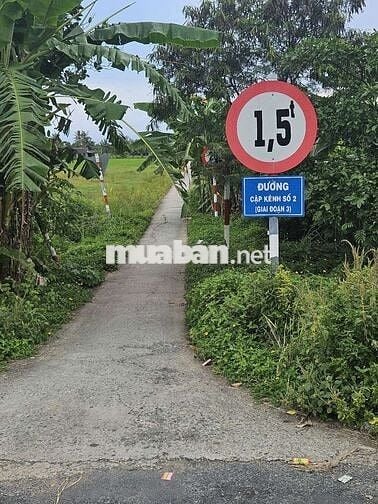 Cắt bán đất chính chủ trả nợ.Tiền Giang ,Gò Công Tây