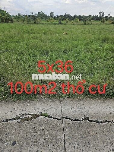 Cắt bán đất chính chủ trả nợ.Tiền Giang ,Gò Công Tây