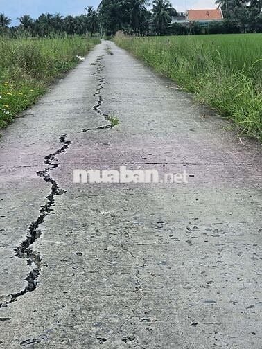 Cắt bán đất chính chủ trả nợ.Tiền Giang ,Gò Công Tây