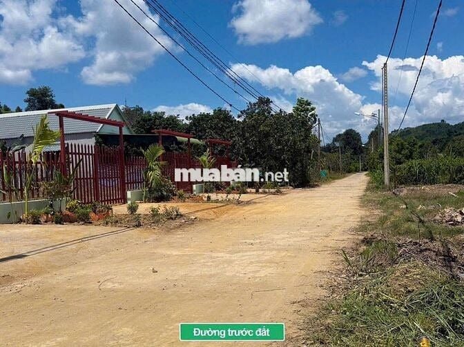 Đất thổ cư Lâm Đồng gần Sài Gòn giaa 3,95t