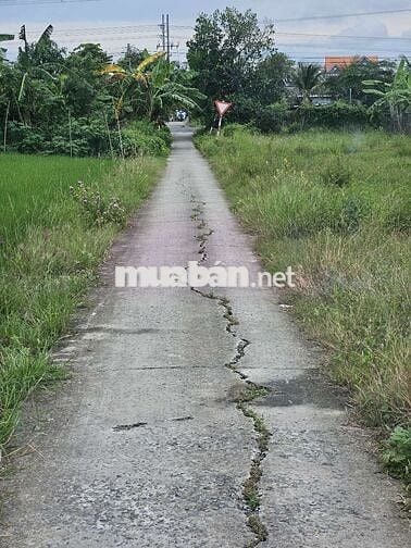 Cắt bán đất chính chủ trả nợ.Tiền Giang ,Gò Công Tây